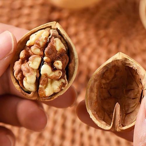 Hand-peeled Thin-Skin Walnuts 500g, Factory Wholesale—Xinjiang Specialty New Year Gift Nuts, Salt-Baked Flavor, Pre-Shelled Walnuts