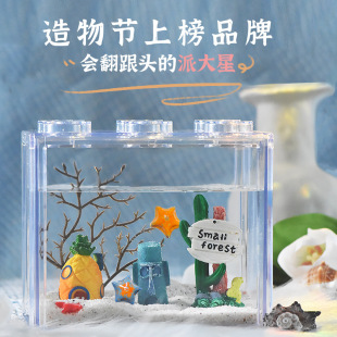Starfish Feeding Package Pet Live Sand Mini Marine Life Little Starfish Petrel Xiaohai's Zoo