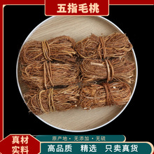 �V��Ұ����ָë��������ș�ĸ�؛��ָë��ţ�̸������Ҝ����ϟo��