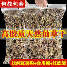 仙草干烧仙草原材料冻黑凉粉草粿草汁龟苓膏仙人干仙草新鲜