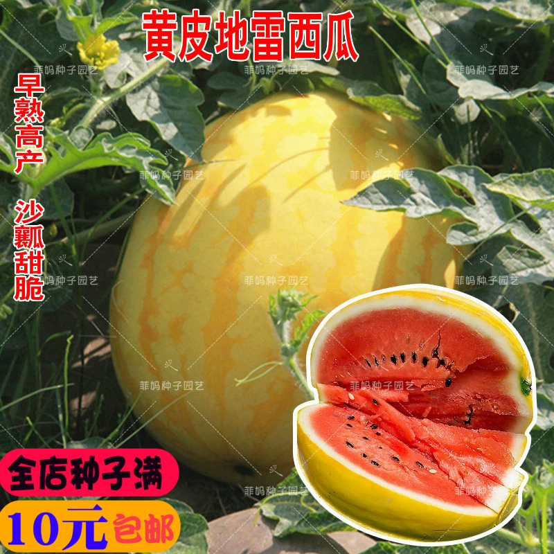 Суперсладкие семена арбуза Кирин с желтой кожурой и высоким содержанием сахара для весеннего и летнего посадки на больших полях, в горшках и садовых фруктовых семенах.
