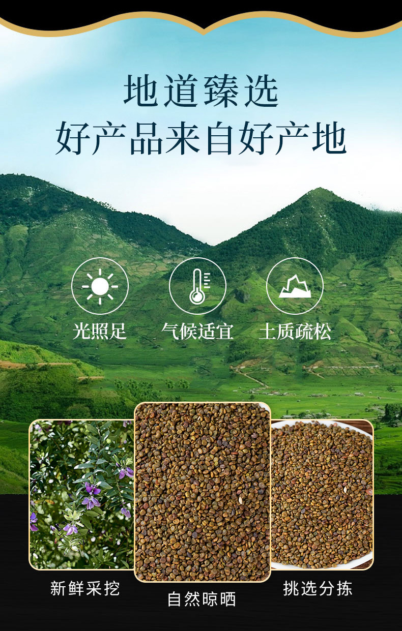 Sha Yuan Zi (Astragalus complanatus) — Roasted Food-Herb Seed for Cooking & Tea overview
