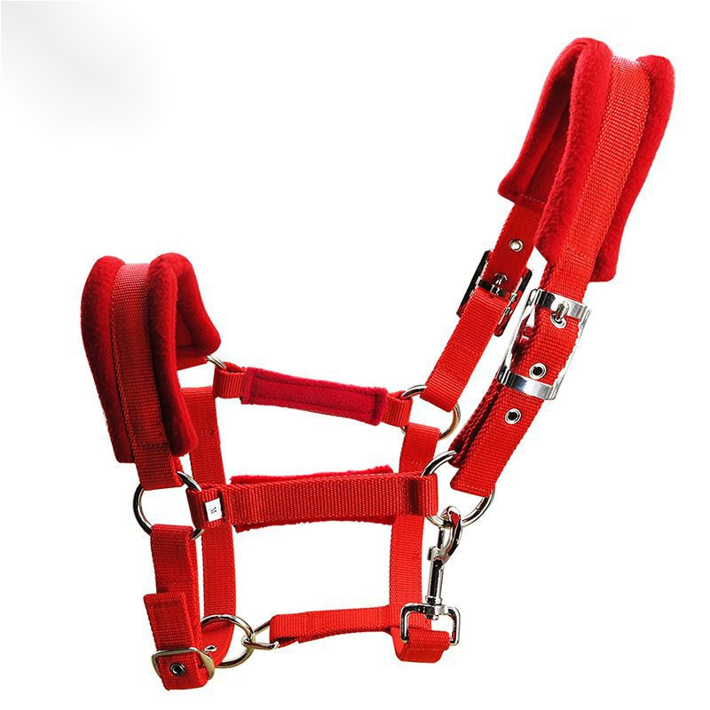 Caja de caballo de longitud mm cabeza de jaula plateada fijación ajustable de metal cabeza de caballo 25 ancho manga de dragón