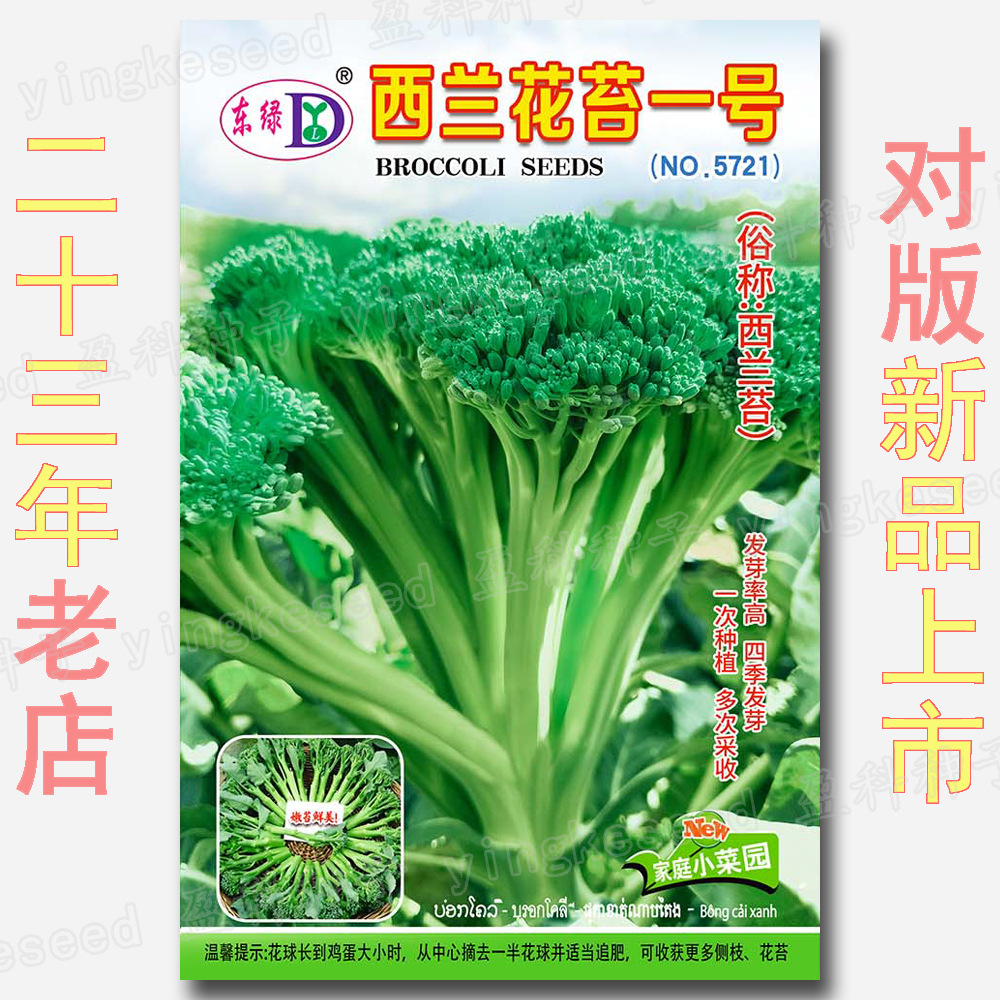 Approximately 300 Broccoli Moss Type One Seeds, Small Broccoli Seeds, Cauliflower Broccoli Vegetable Seeds Wholesale