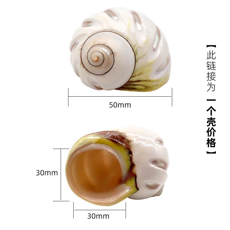 x26 대형 얼룩말 아보카도 [4-5cm 게에 적합]