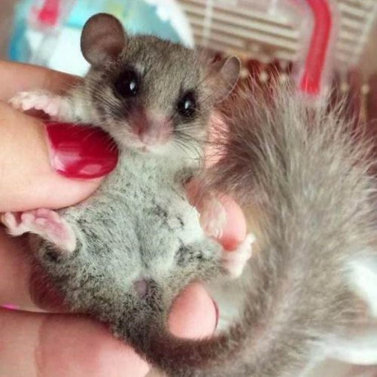 哈希娱乐- 哈希游戏平台- 哈希游戏官方网站重庆主城看樱花的地方推荐TOP10