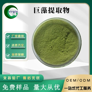 巨藻提取物20:1 水溶巨藻粉 海藻王提取物 500克装