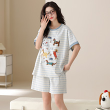���ؼ�65.9Ԫ���ļ��¿�100%���޴��ص���ͷ����̿�˯��Ů������