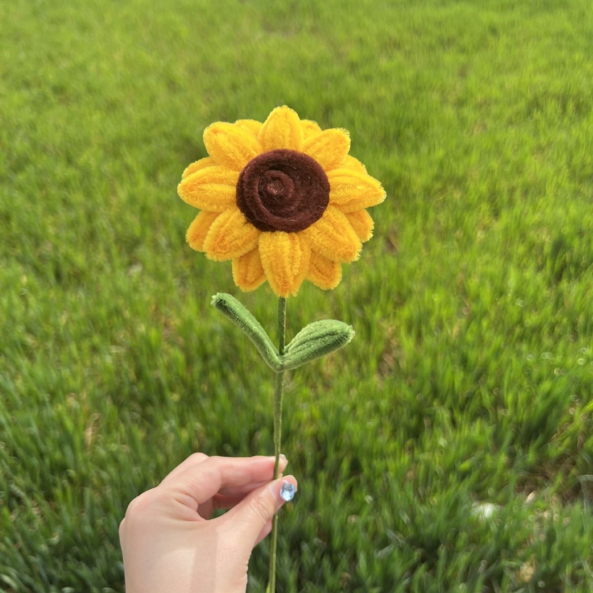 노란 작은 해바라기 [완제품] 벌거벗은 꽃