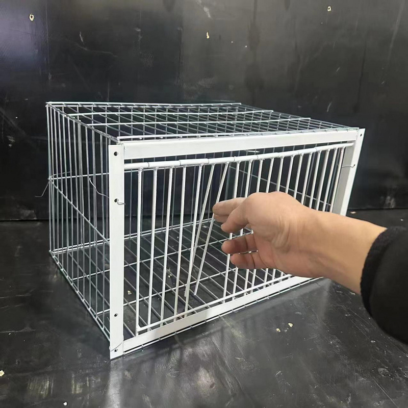 新しいスタイルの天落籠鳩ケージは厚く暗号化されており、自動的に鳩を閉じるための可動ドアと衝突ドアが付いており、屋外では出入りが可能です。|undefined