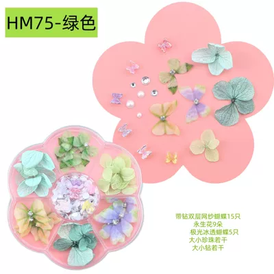 Facial Dried Flower Face Makeup – Dırnaq bəzəkləri - hm75-green-7-grid-plum-box-83cm