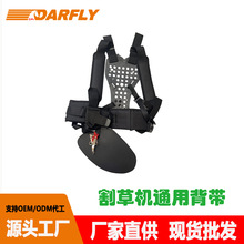 ݙCm늄ӸݙC͸C@ֹ̟N