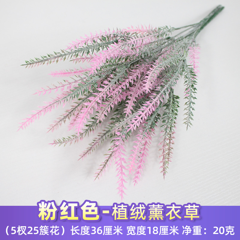 Lavanda flocada rosa