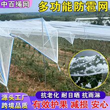 防雹网农用苹果葡萄网格猕猴桃防护网防冰雹大棚养殖网防鸟网