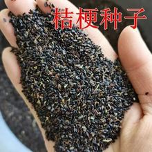 ۹Nӈ@ˇֲ̨ļNֲѻܷNӻNl