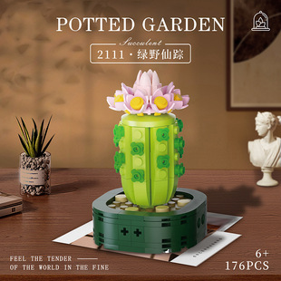 Compatible with succulent plants Wizard of Oz potted series children's building blocks ornaments model assembled gift toys