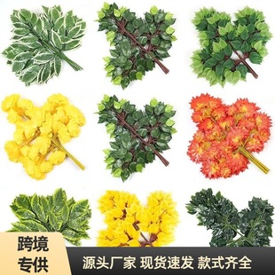 �羳�����֦��ɫ�٘��~�ӷ��滨���Ϸ����Ř��~ �����y���~�b�