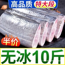 无冰带鱼段新鲜冷冻带鱼中段国产东海带鱼大段整箱银鱼中国大陆