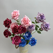 �������^Ů��õ�厧�~�ٻ���c��Y�ý����û��쾰�b������l