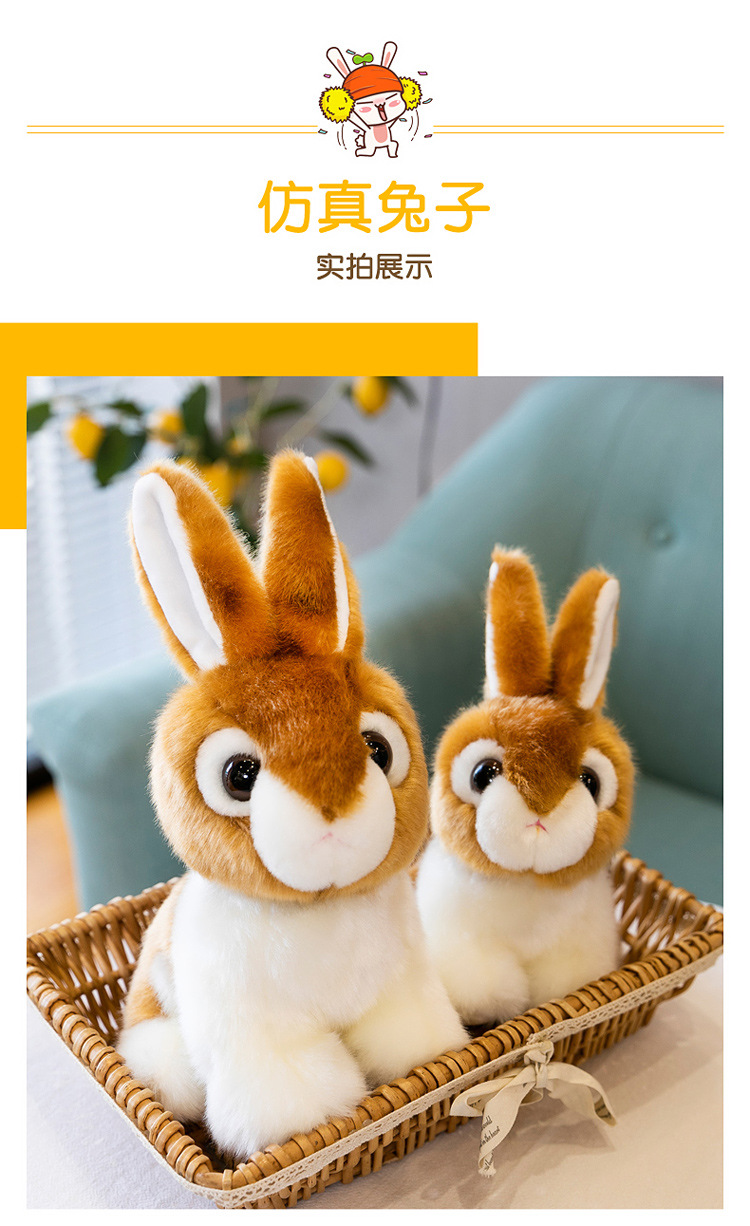 仿真兔子_07.jpg