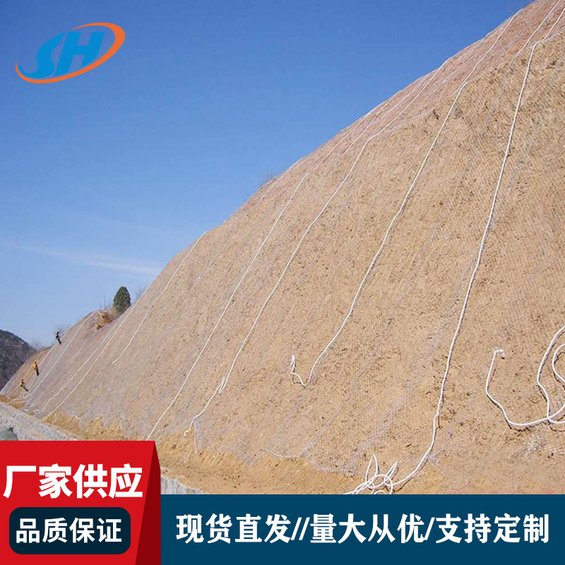 边坡挂网客土喷播网镀锌喷浆挂网锚网护坡固土边坡绿化铁丝网广州