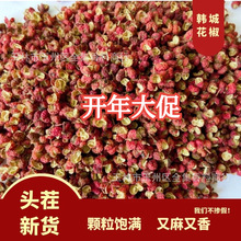 �n�Ǵ�t�ۻ�����ʳ������ɼt�齷��偵��������{���n���خa