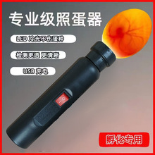 外贸热销冷光照蛋灯出口照蛋器检查种蛋发育情况 孵化机用照蛋器