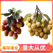 ������֦����ˮ����ģ�͙����b�Ʒ���A��������֦��ˮ��