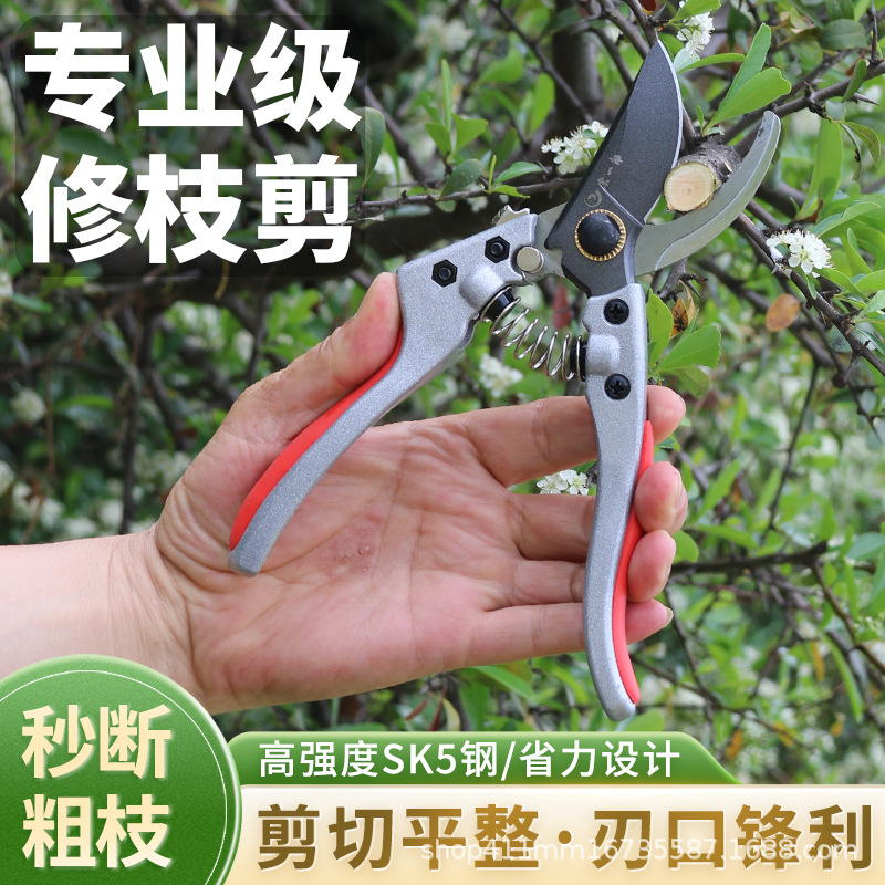 v9园林工具剪修枝剪园艺剪刀加厚果树嫁接粗枝摘果花园剪SK5