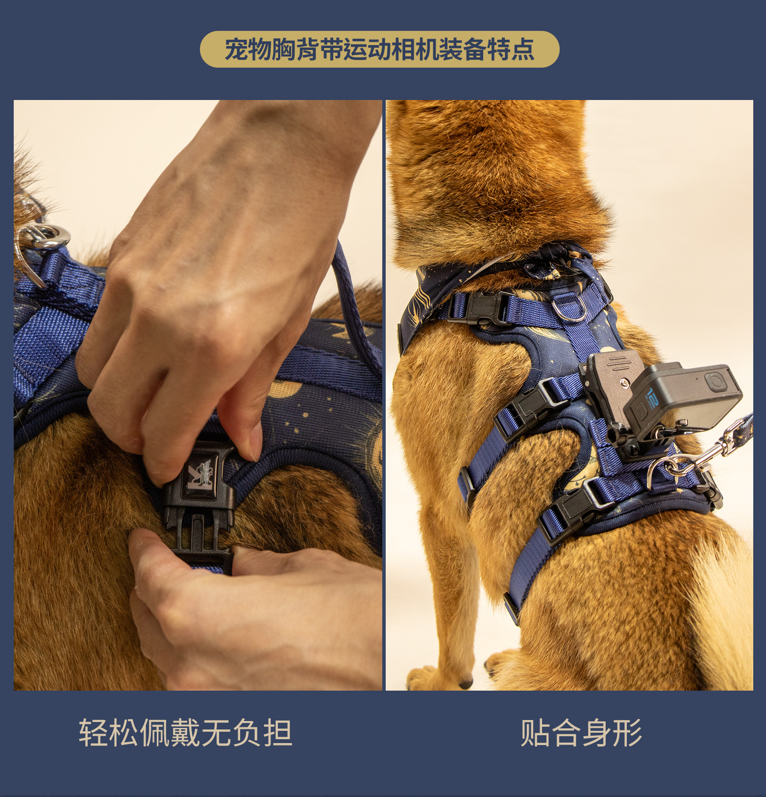 C端-塔罗详情页-中文_06.jpg