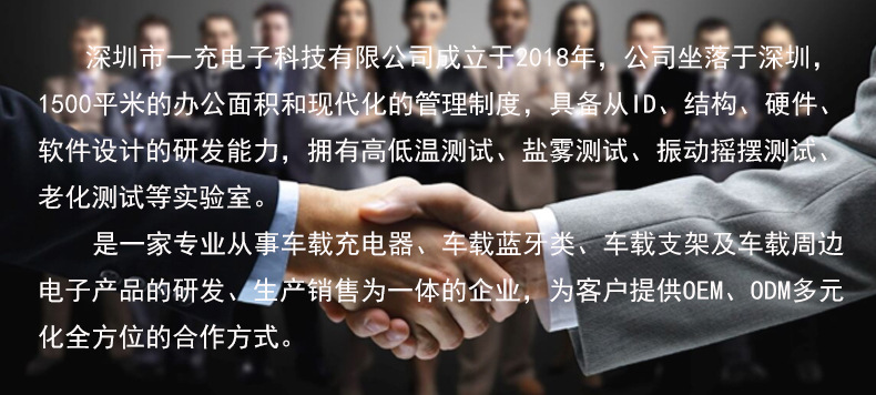 详情-公司简介