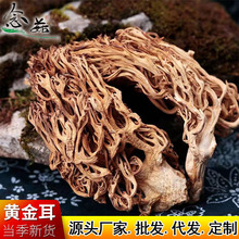 ���ʳ�þ�ɺ�����߰ѹ�ˢ�Ѿ���偾Ƶ�ʳ���ϱ���؛�������l500g