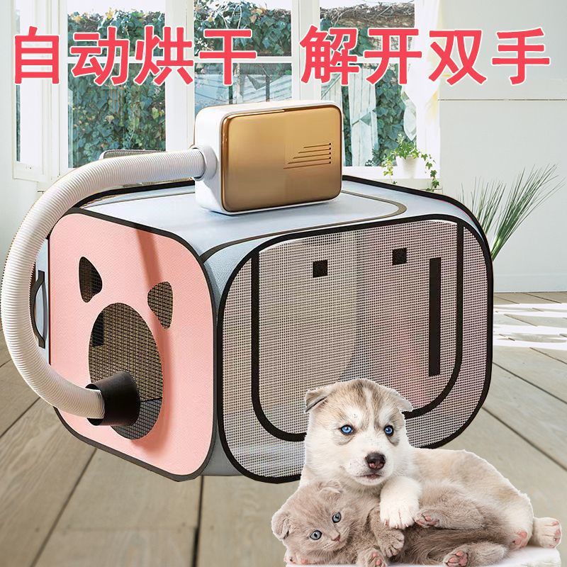 7ab8a4b7-70aa-437c-8fe3-23dd93b36810.jpe