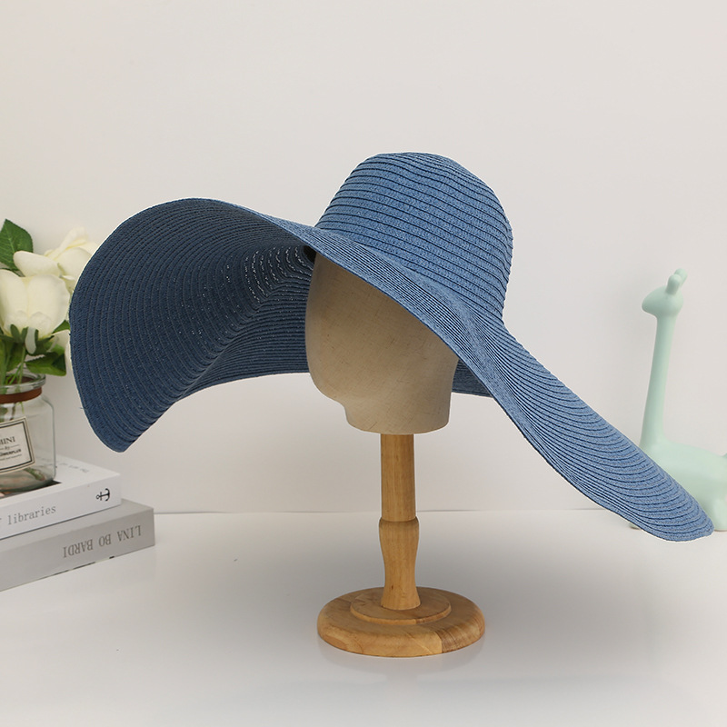 Women's Elegant Modern Style Classic Style Solid Color Big Eaves Sun Hat display picture 1