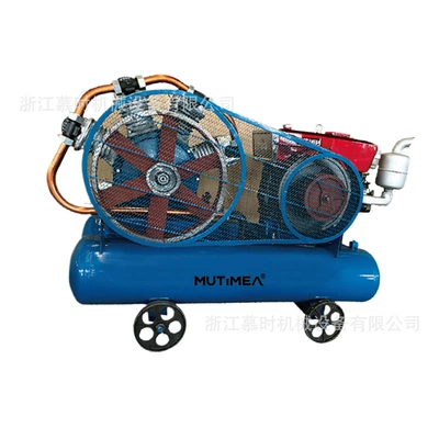 Diesel Piston-Type Air Compressor: Hava kompressorları - f405j-four-slot-thickened-type-diesel-model