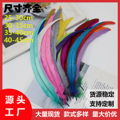 メーカー卸売り羽25-45cm脱色雄鶏尾毛DIY工芸品舞台演出服装装飾補助材料