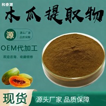 木瓜提取物 比例萃 木瓜蛋白酶工厂现货木瓜浓缩粉