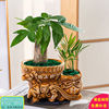 Small pot indoor for office, green plant lamp for living room, for luck