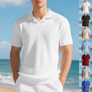 �羳����վ�ļ��A�����ʿPolo����ʽ���s�������e�����I����t��