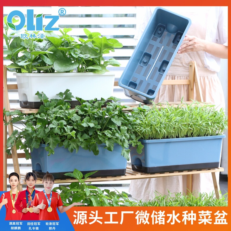 Olinze Special Pots for Growing Vegetables, Balcony Vegetable Pots, Plastic Household Vegetable Pots, Self-Absorbing Balcony Vegetable Pots for Lazy People