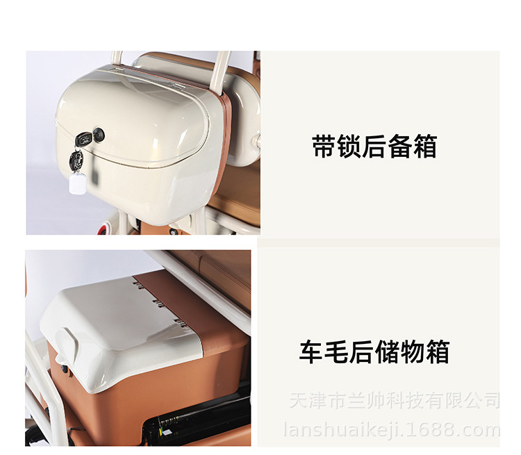 New National Standard Electric Leisure Tricycle Small Vehicle for Kids