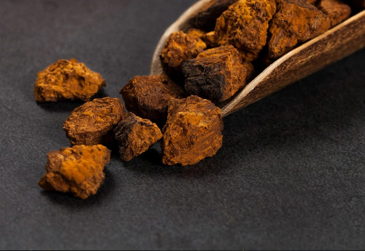 Chaga Mushroom Granules Hua Shu Rong 70g Jar Dried Inonotus obliquus Sclerotia for Daily Herbal Tea and Decoction quality and texture