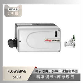 Flowserve福斯510si智能阀门定位器搭配福斯Y型截止阀Blow-off