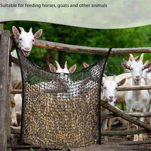 �R�g��Ʒ�R�ݴ� �������ɲݾW�Ғ�ʽ��ιʳ��������ϾW��