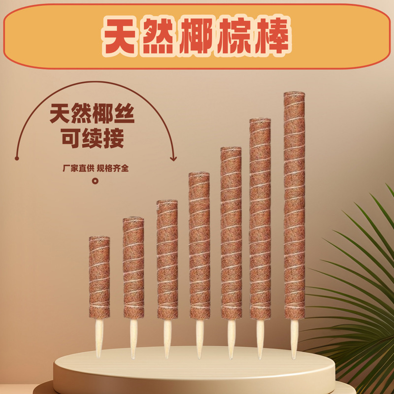 Coconut Palm Plant Climbing Frame Green Basket Stick Tortoise Bamboo Support Vine Climbing Flower Frame Coconut Silk Winding Palm Pole Fixed Coconut Palm Plant Climbing Frame Green Basket Stick Tortoise Bamboo Support Vine Climbing Flower Frame Coconut Silk Winding Palm Pole Fixed