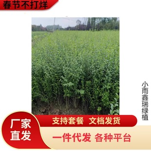 ���~ŮؑС�~Ůؑ���~�������߅���B�NͥԺ�G��ֲ��ľ��