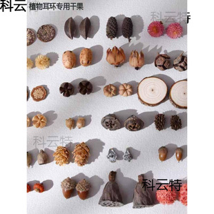 Plant Earrings Natural Dried Fruit Pumpkin DIY Earrings Material Personality Creative Niche Jewelry Earrings Accessories Fruit