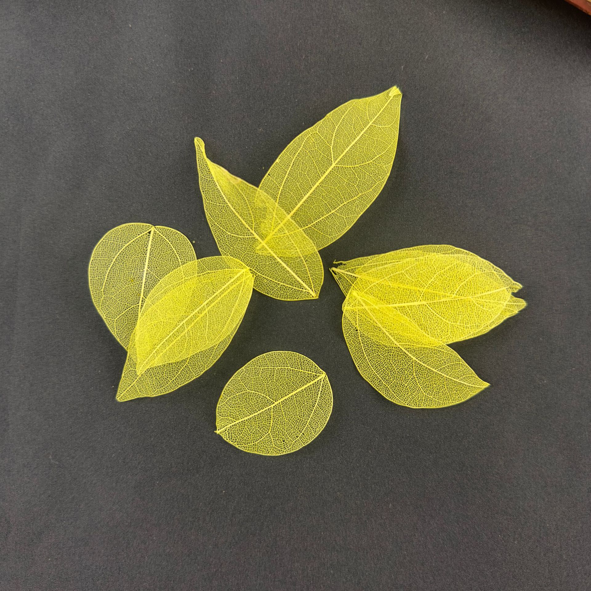 Vein-Designed Diamond-Leaf Bodhi Leaf with Heart-Shaped Design  
Handmade Embossed Colorful Leaves for DIY Glass-Covered Gift Box Crafting Materials