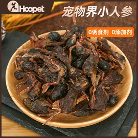 狗狗服装;猫猫窝/笼/垫;狗狗窝/笼/垫