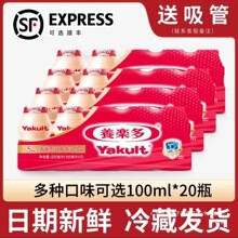 养乐多活菌型乳酸菌乳饮品原味低糖100ml*20瓶益生菌酸奶饮料礼盒